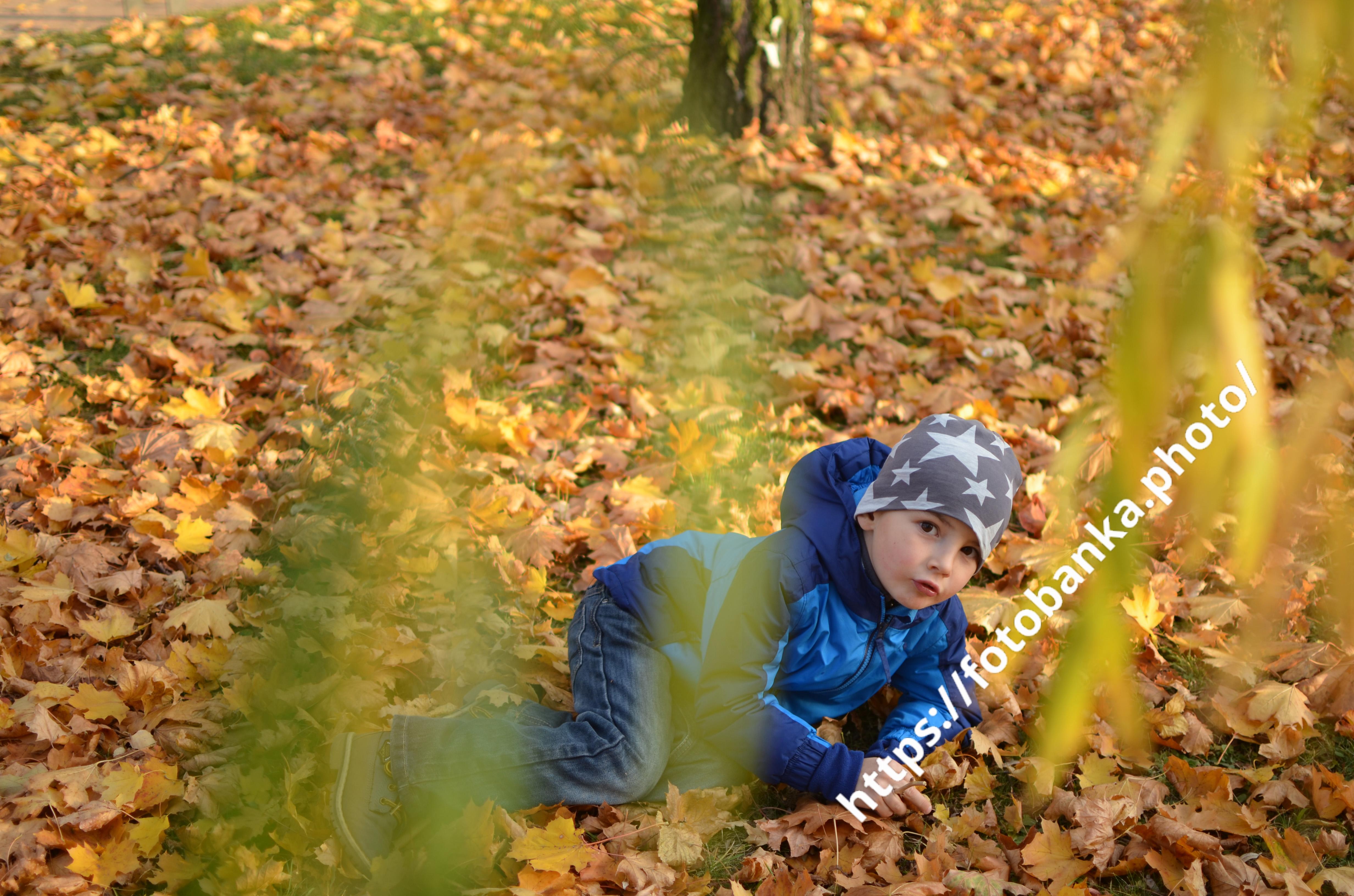Children's autumn portrait