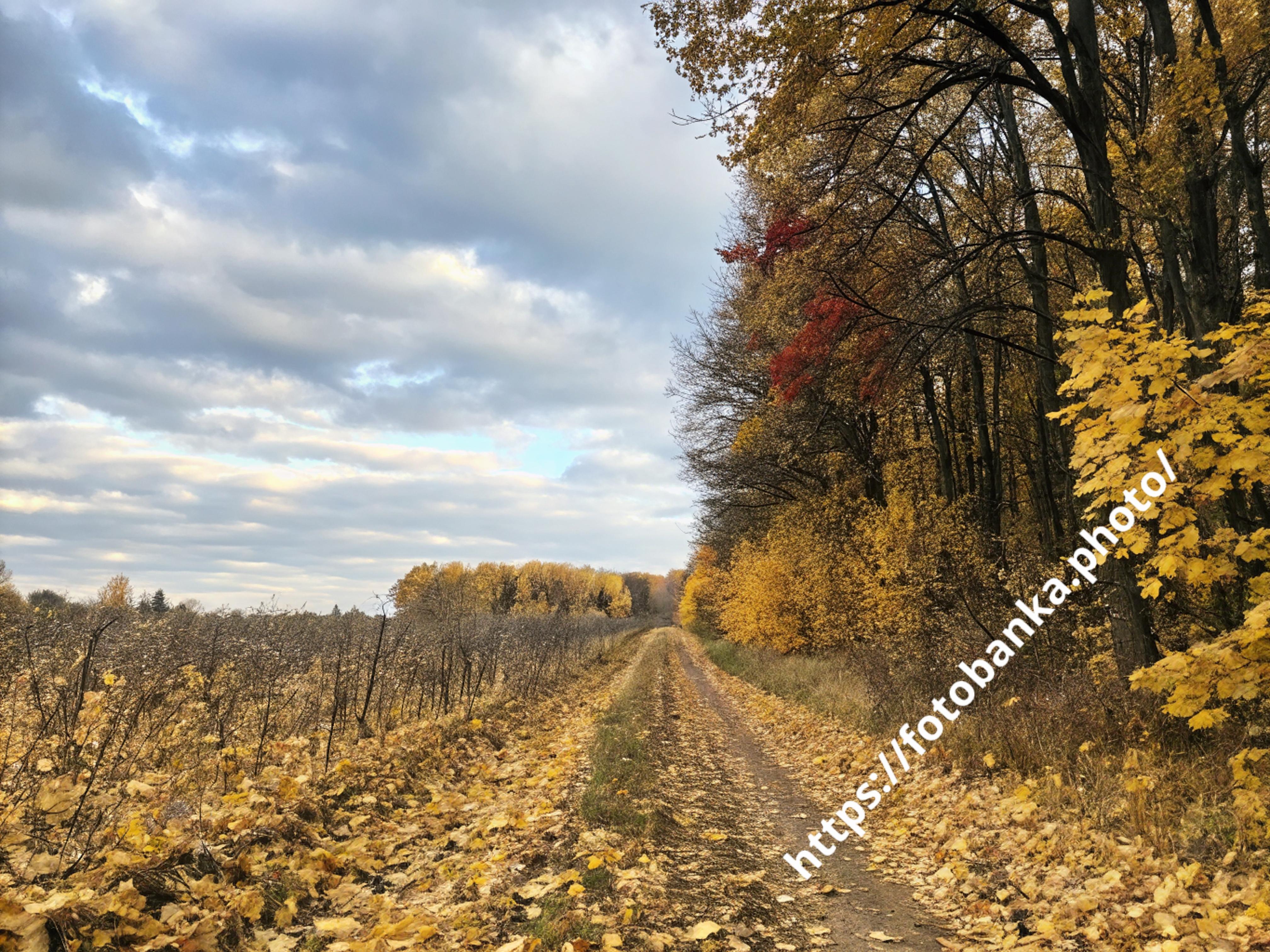 Осіння мандрівка